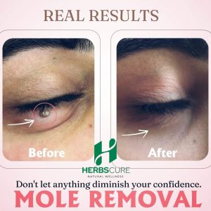 WhatsApp Image 2025-11-22 at 11.09.46 PM