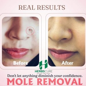 WhatsApp Image 2025-11-22 at 11.14.21 PM (1)